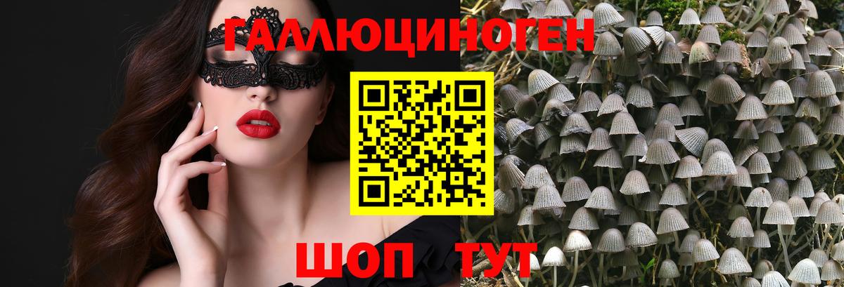 Котовск  Галлюциногенные грибы MAGIC MUSHROOMS  Вход с VPN 