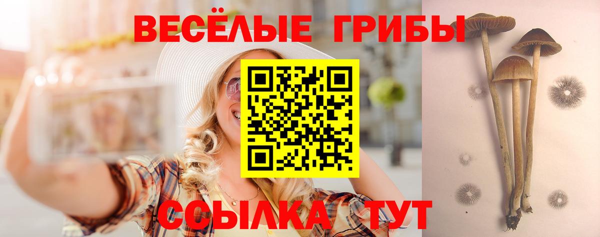 Галлюциногенные грибы MAGIC MUSHROOMS Котовск